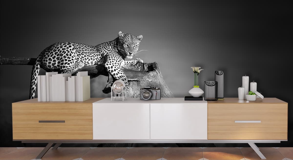 Leopard on Tree Branch Wildlife Nature Scene wallpaper shown in a room