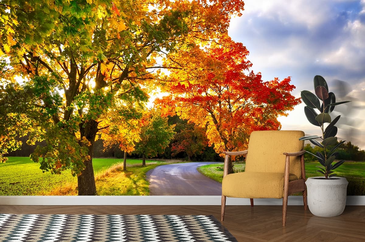 A road with trees and grass shown in a room