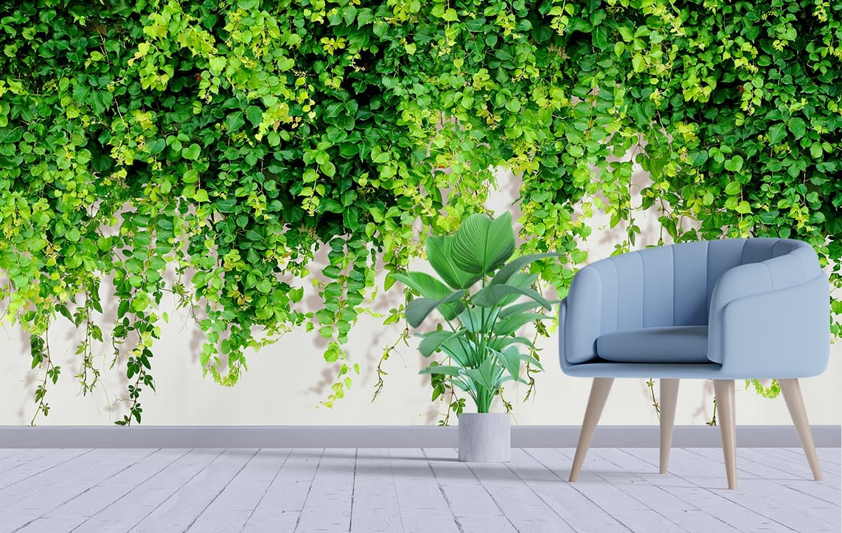 Balcony Green Creepers Wall Decor Design Wallpaper shown in a room