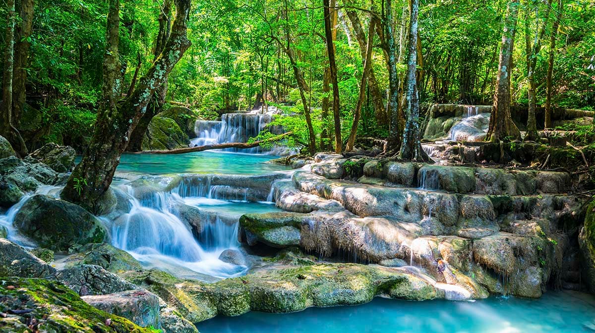 Natural Waterfall in Jungle Forest Scene Wallpaper pattern detail