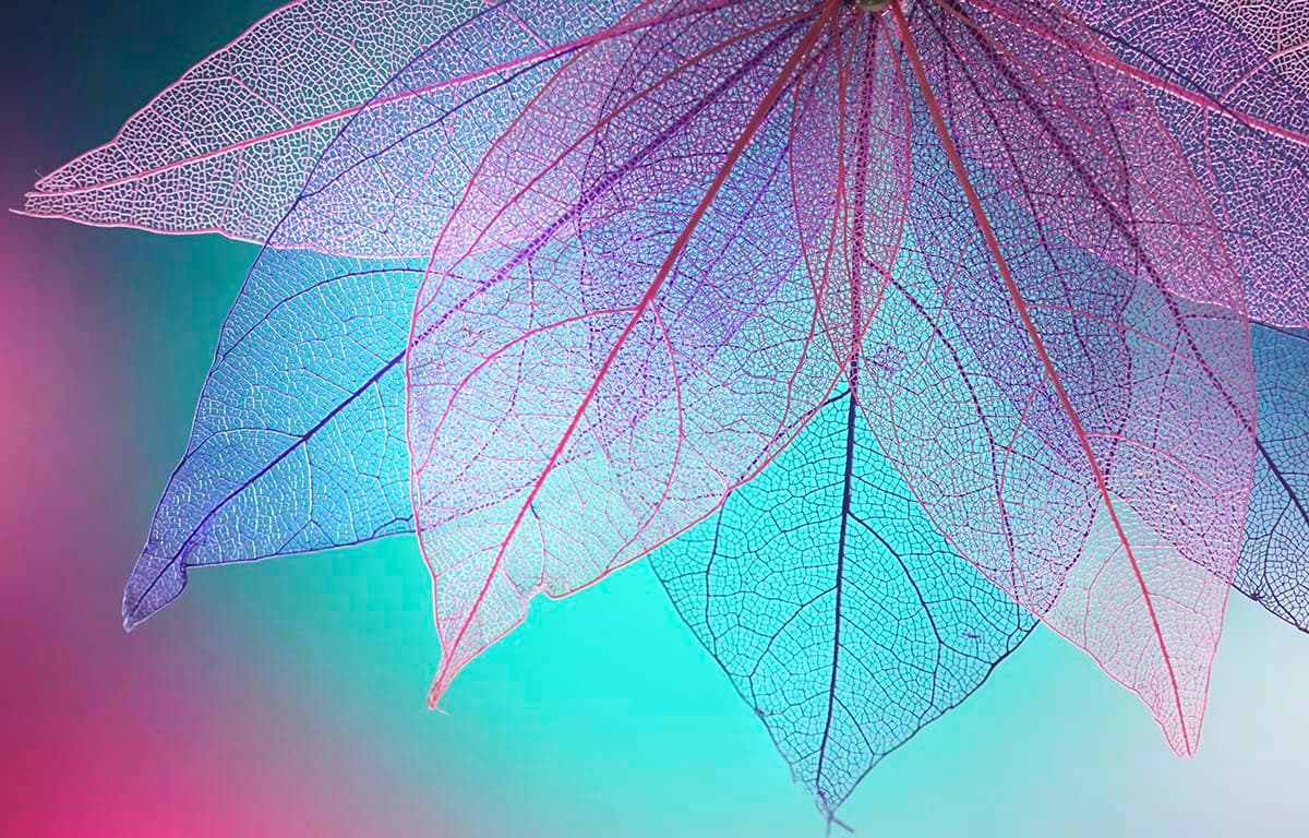 Detailed Leaf Texture Botanical Design Wallpaper pattern detail