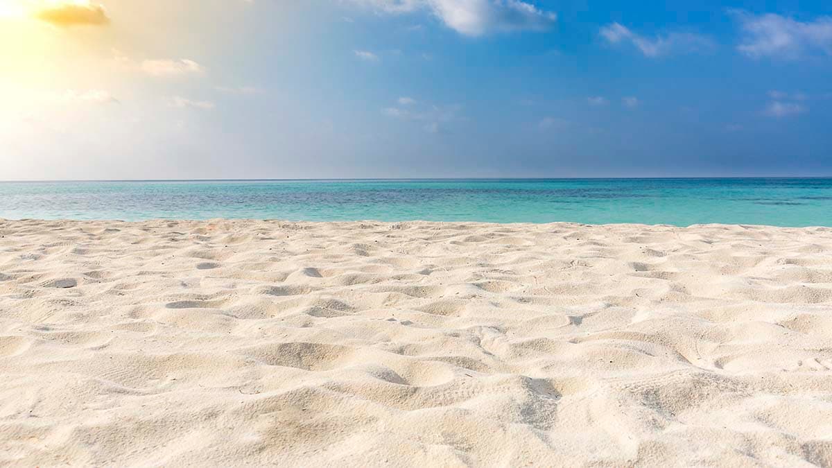 Sandy Beach with Blue Water and Sky Wall Mural Wallpaper pattern detail