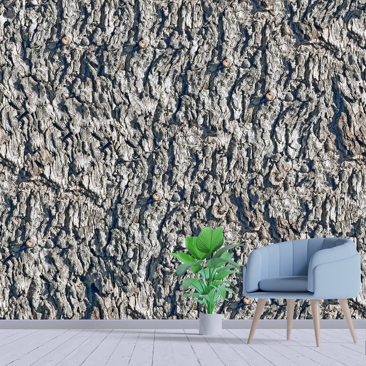A close-up of a tree bark shown in a room