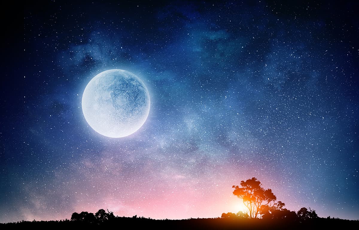 Moon and a tree Wallpaper pattern detail