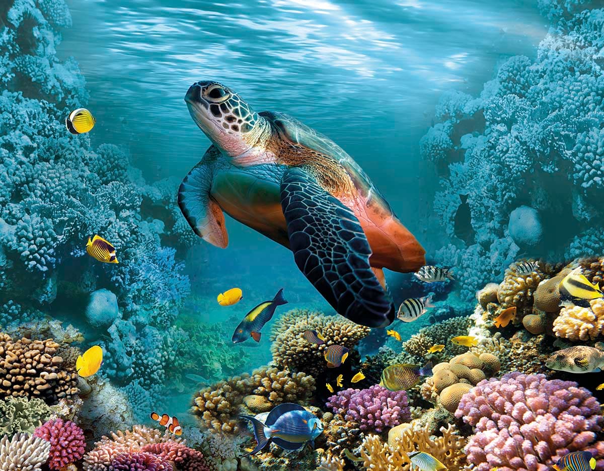 Tropical Coral Paradise Wall Mural pattern detail