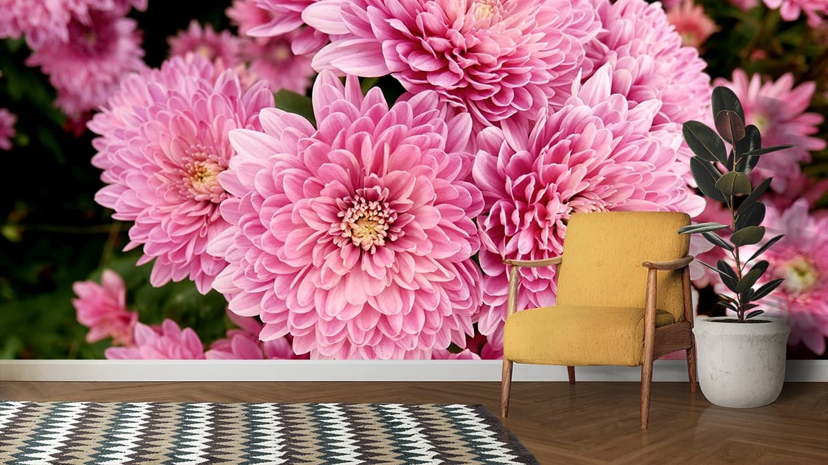 Chrysanthemum Bloom Bliss Wallpaper shown in a room