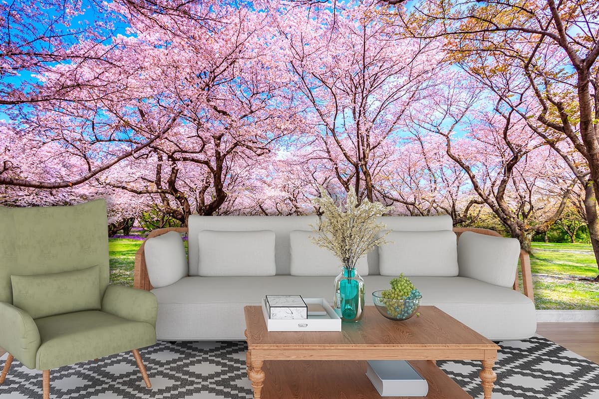 Cherry Blossom Path with Pink Flower Trees Scenic Nature Wallpaper shown in a room
