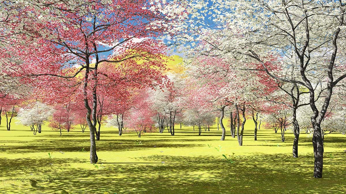 Pink and White Blossom Trees Floral Nature Wallpaper pattern detail