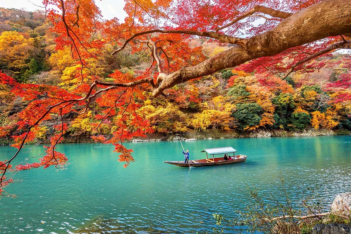 Colorful autumn trees around lake with boat scene wallpaper pattern detail