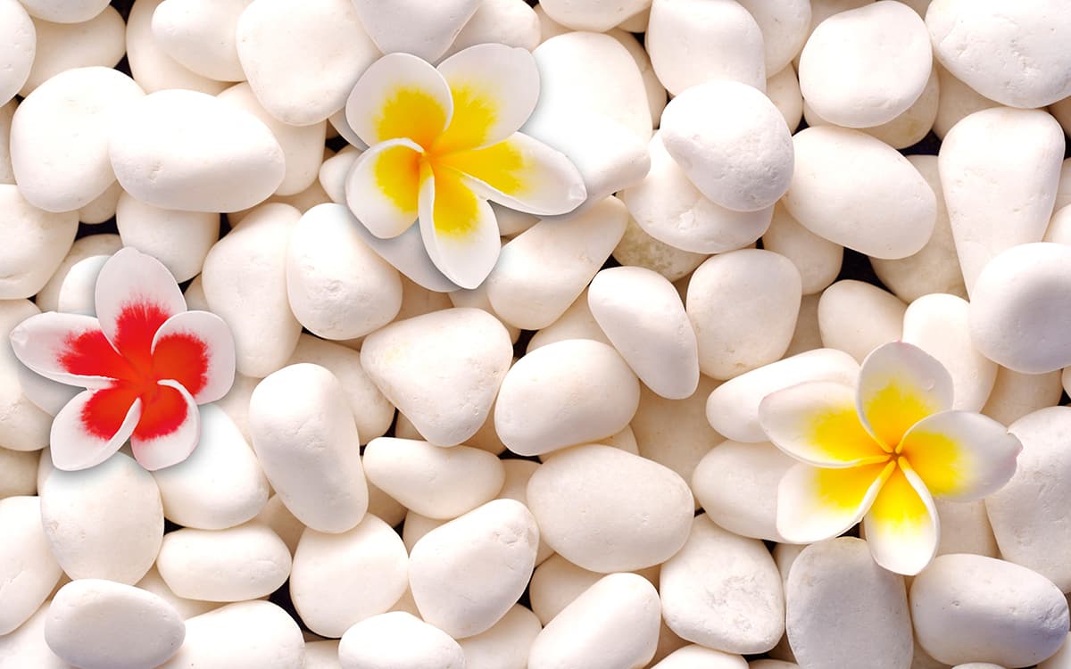 White rocks with flowers on them pattern detail