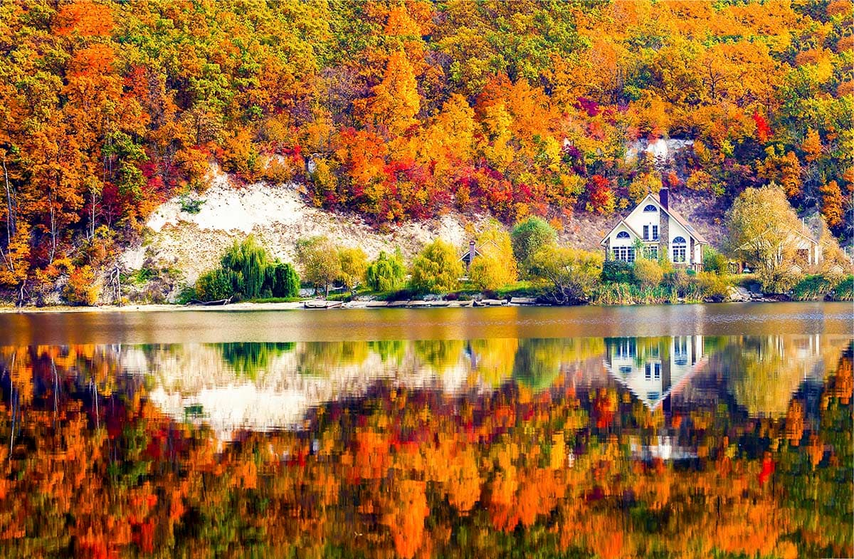 A house on the shore of a lake with trees and a hill pattern detail