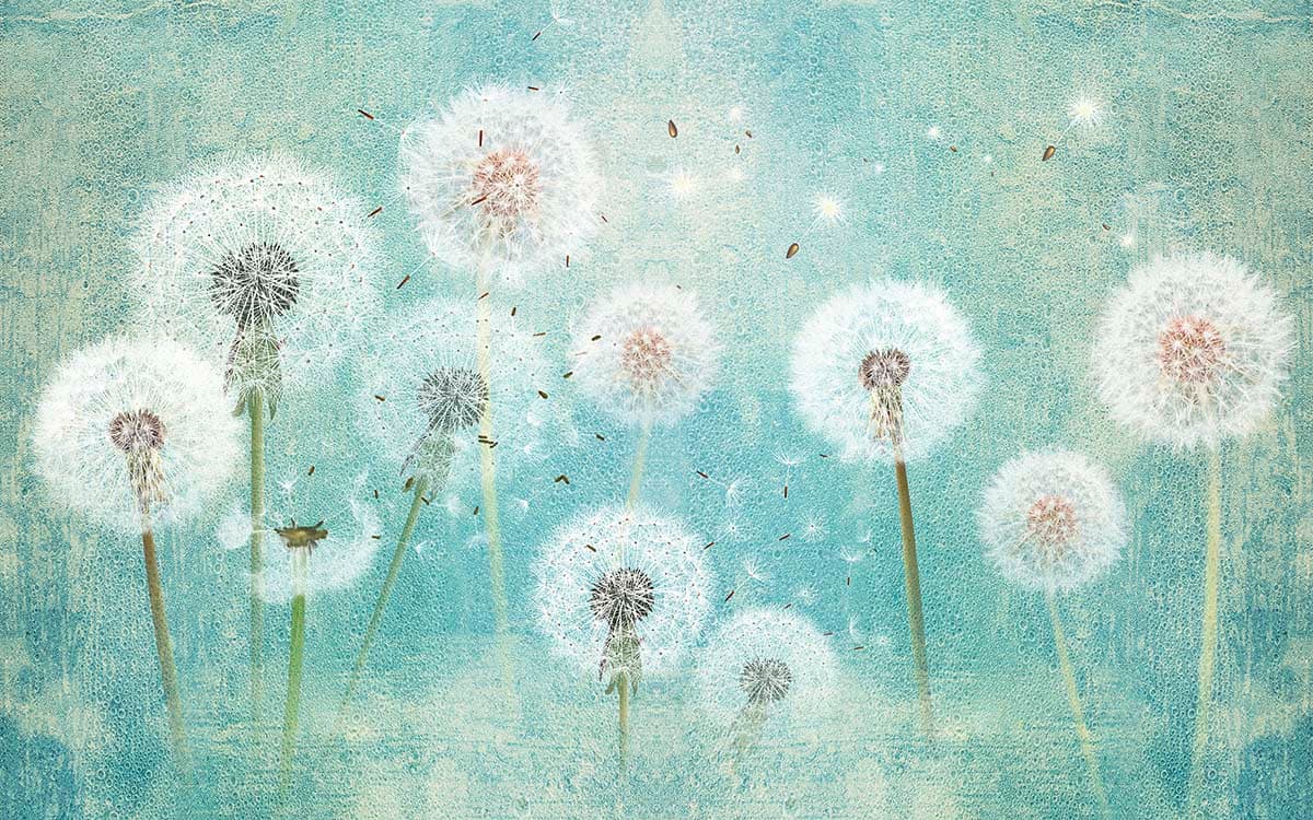 Premium Blue Background with Dandelion Art Wallpaper pattern detail