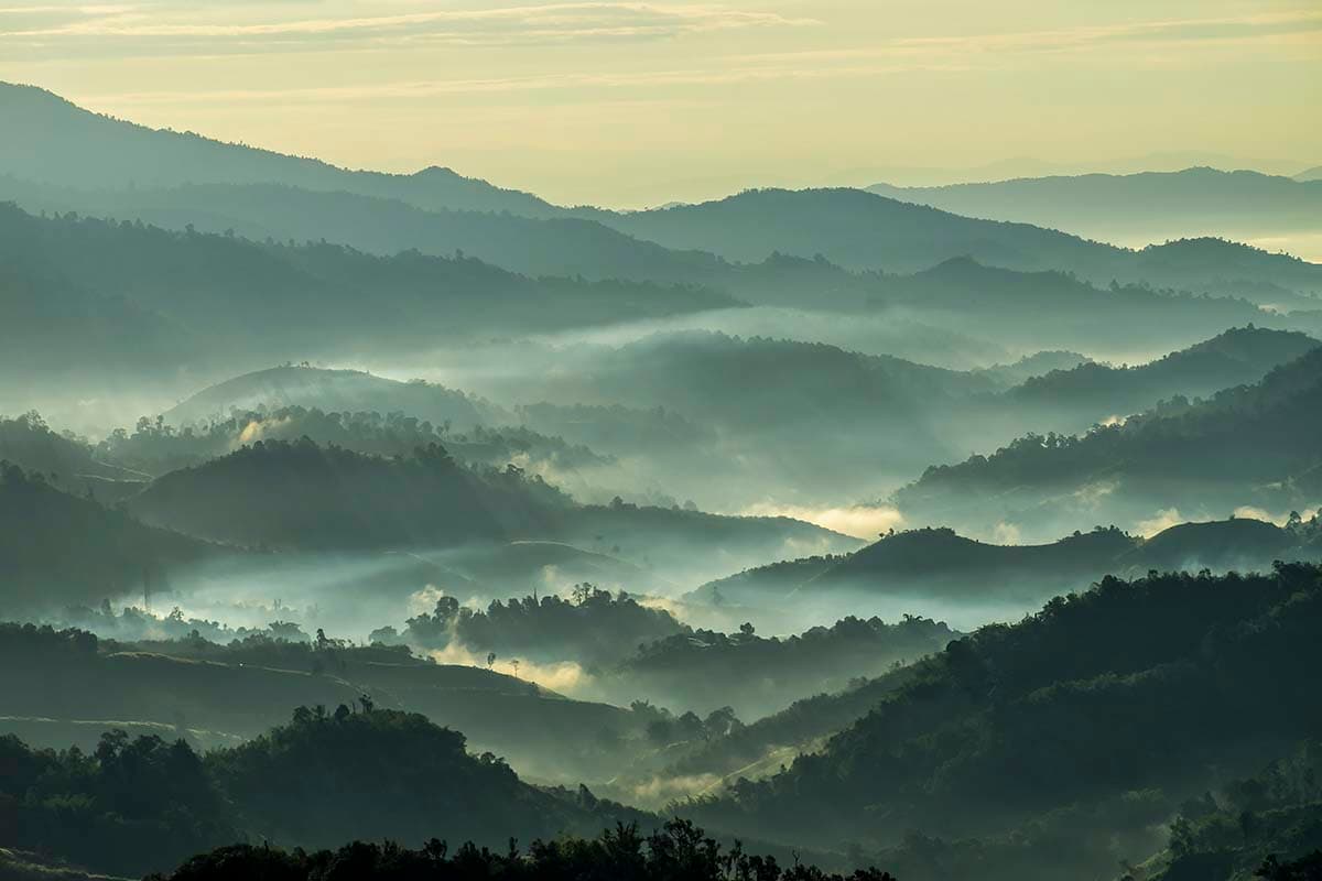 Foggy Landscape of Hills, Forest Wallpaper for Walls pattern detail