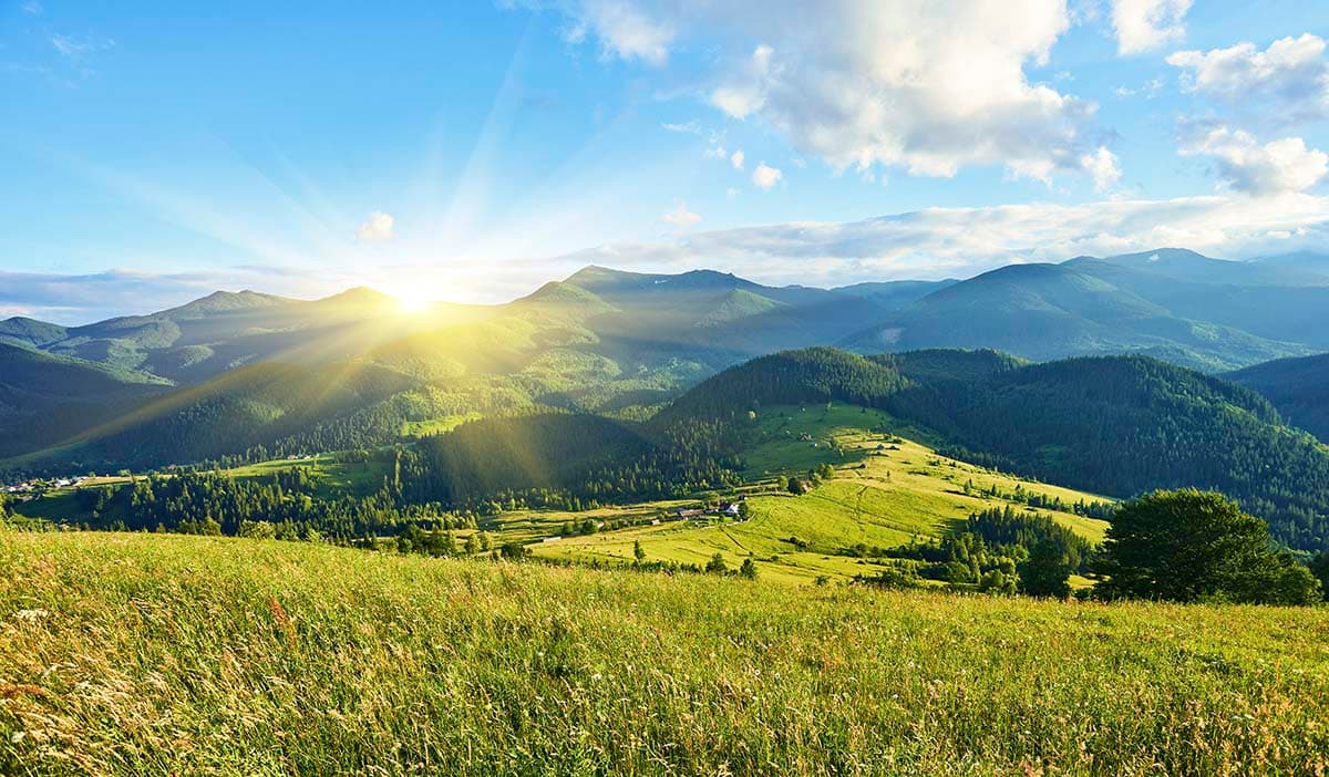 Mountain Wallpaper, Green hills with trees pattern detail