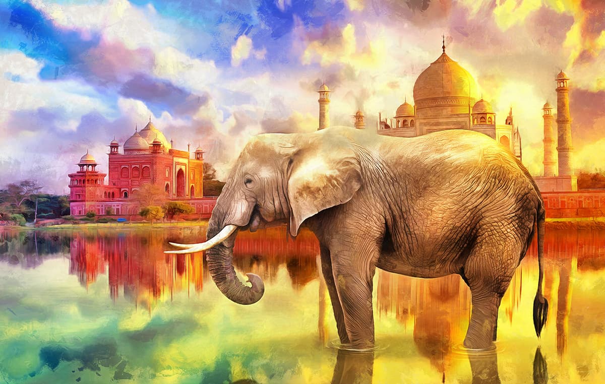 Artistic Elephant Water Scene Urban Style Wallpaper pattern detail