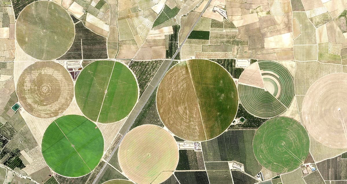 Aerial view of fields and fields pattern detail