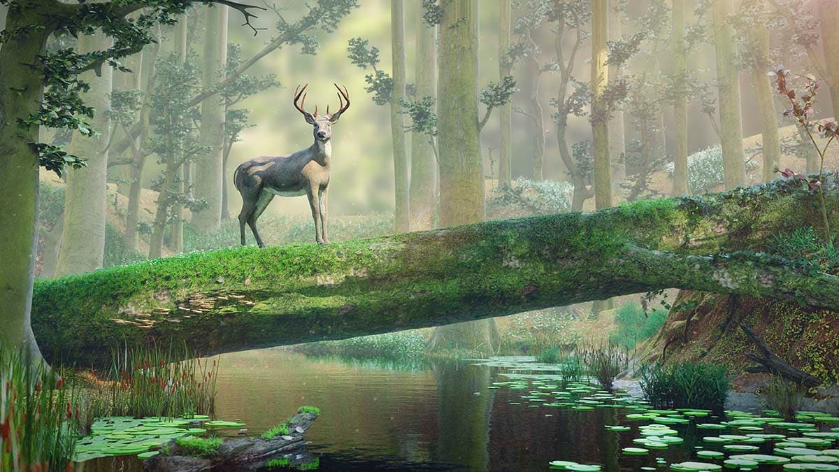 Deer Standing on a Log Over a River Nature Wallpaper pattern detail