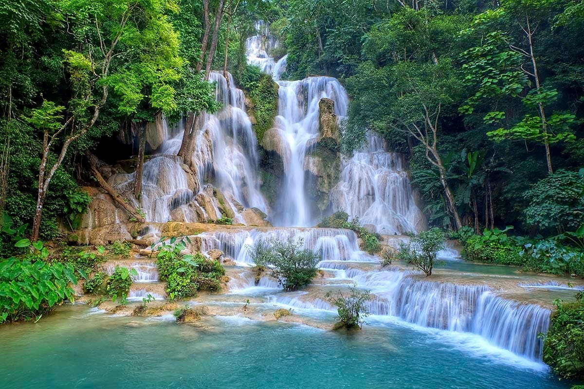 Tranquil waterfall in dense forest landscape wallpaper pattern detail