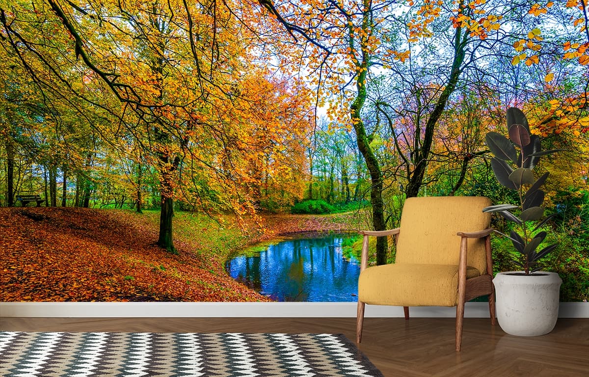 River and Trees, Forest Wallpaper for Walls shown in a room