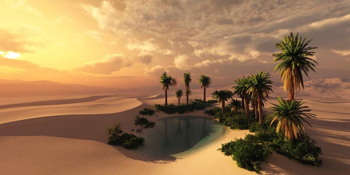 Aesthetic Desert Oasis with Pool and Palm Trees Wallpaper pattern detail