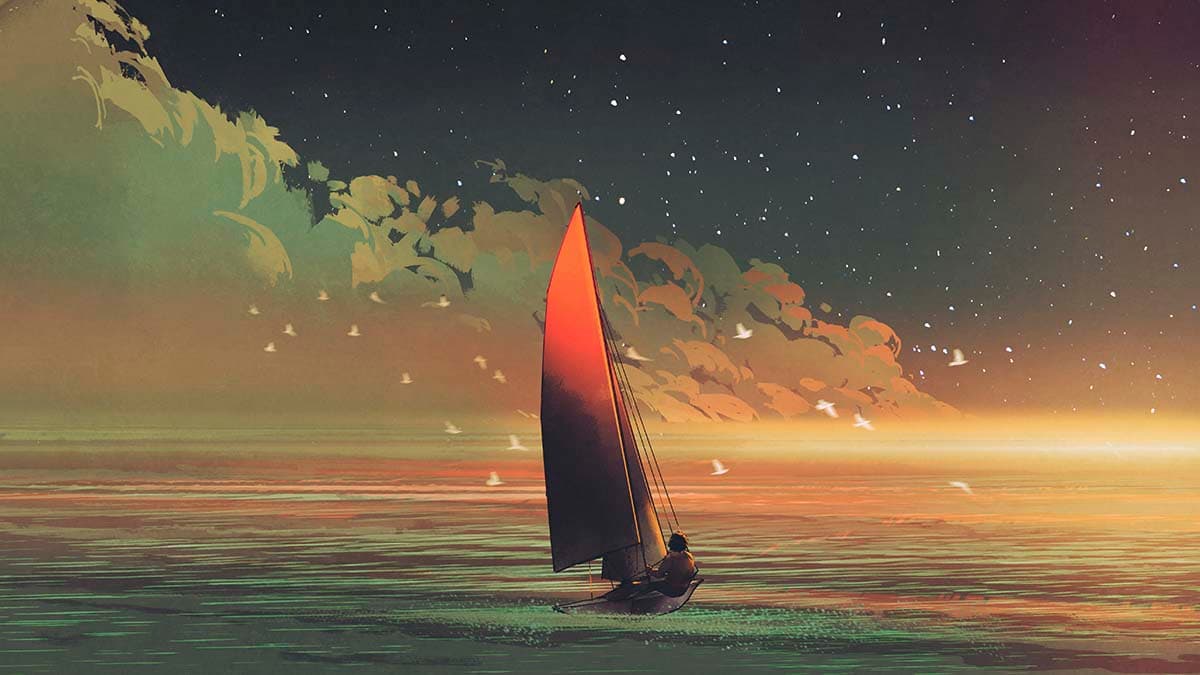 A person on a sailboat in the water pattern detail