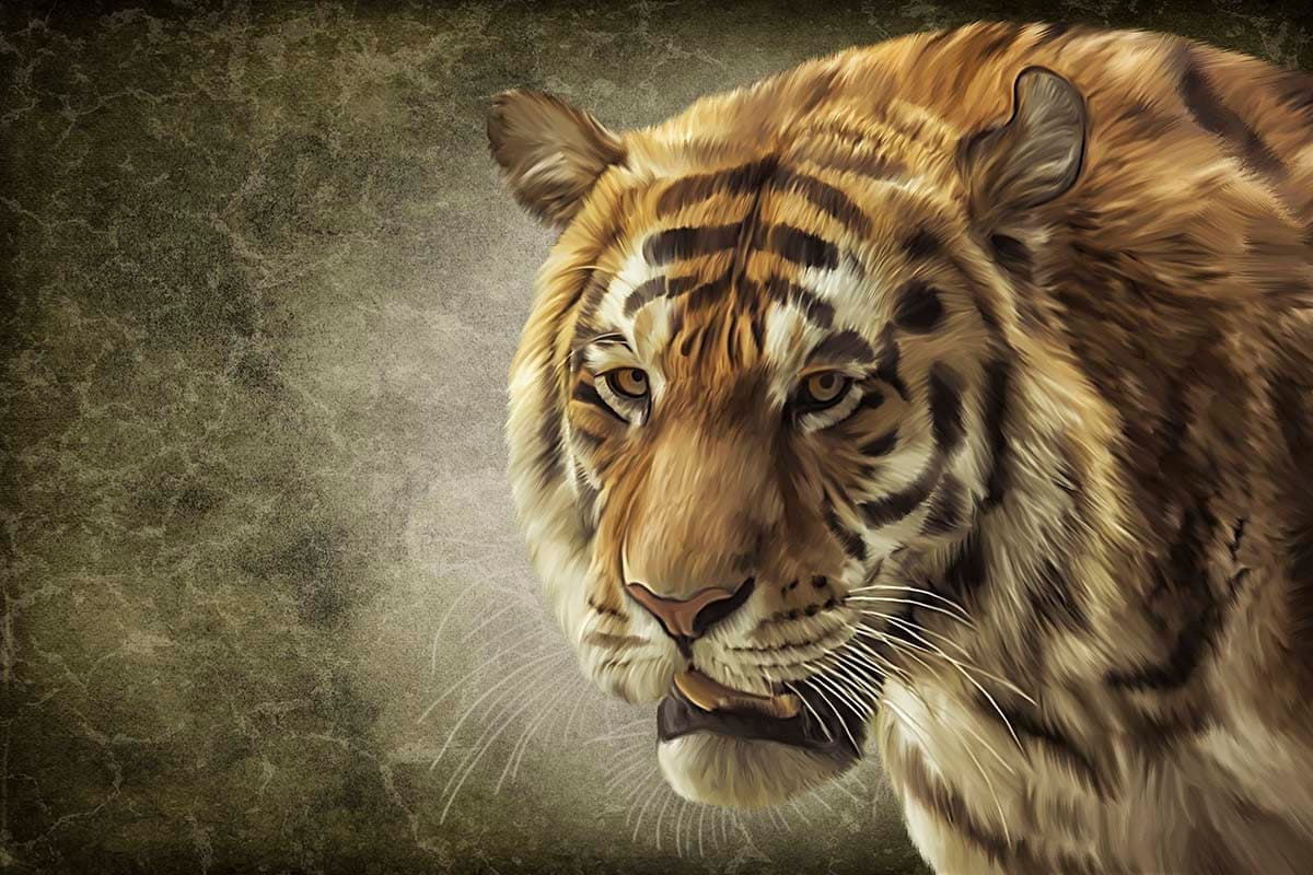 Fierce Tiger Open Mouth Jungle Theme Wallpaper pattern detail