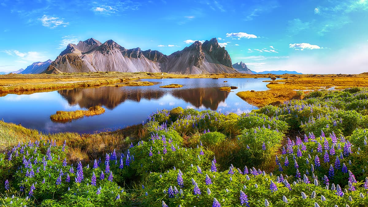 Lake Surrounded by Mountains Scenic Wall Mural Wallpaper pattern detail