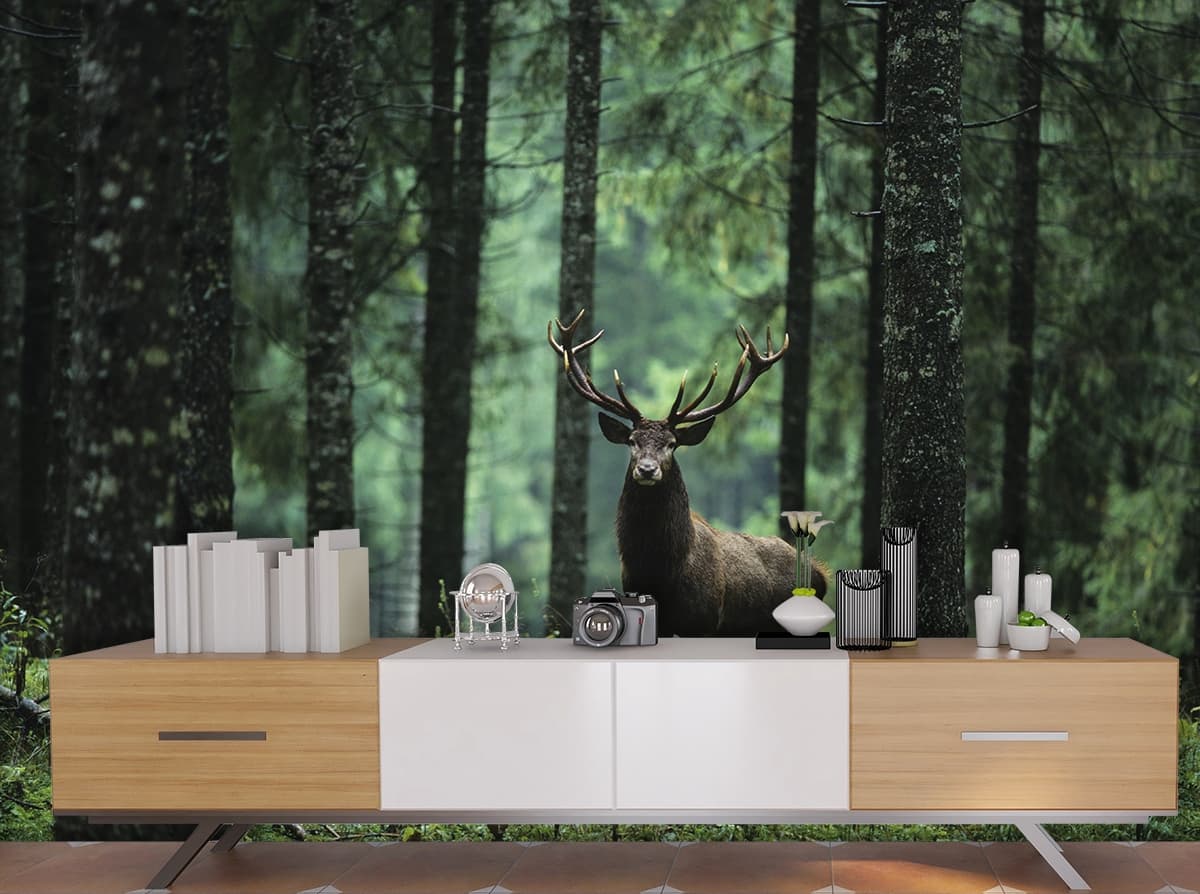 Deer in The Woods, Forest Wallpaper for Walls shown in a room
