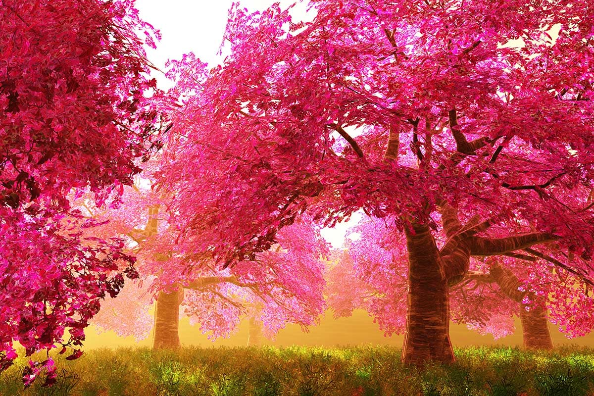Aesthetic Pink Trees Landscape Design wallpaper pattern detail