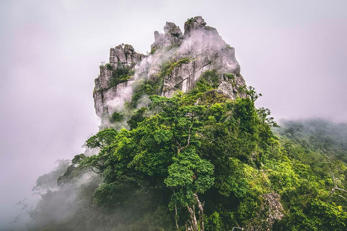 Misty Mountain with Trees and Fog Nature Wallpaper pattern detail