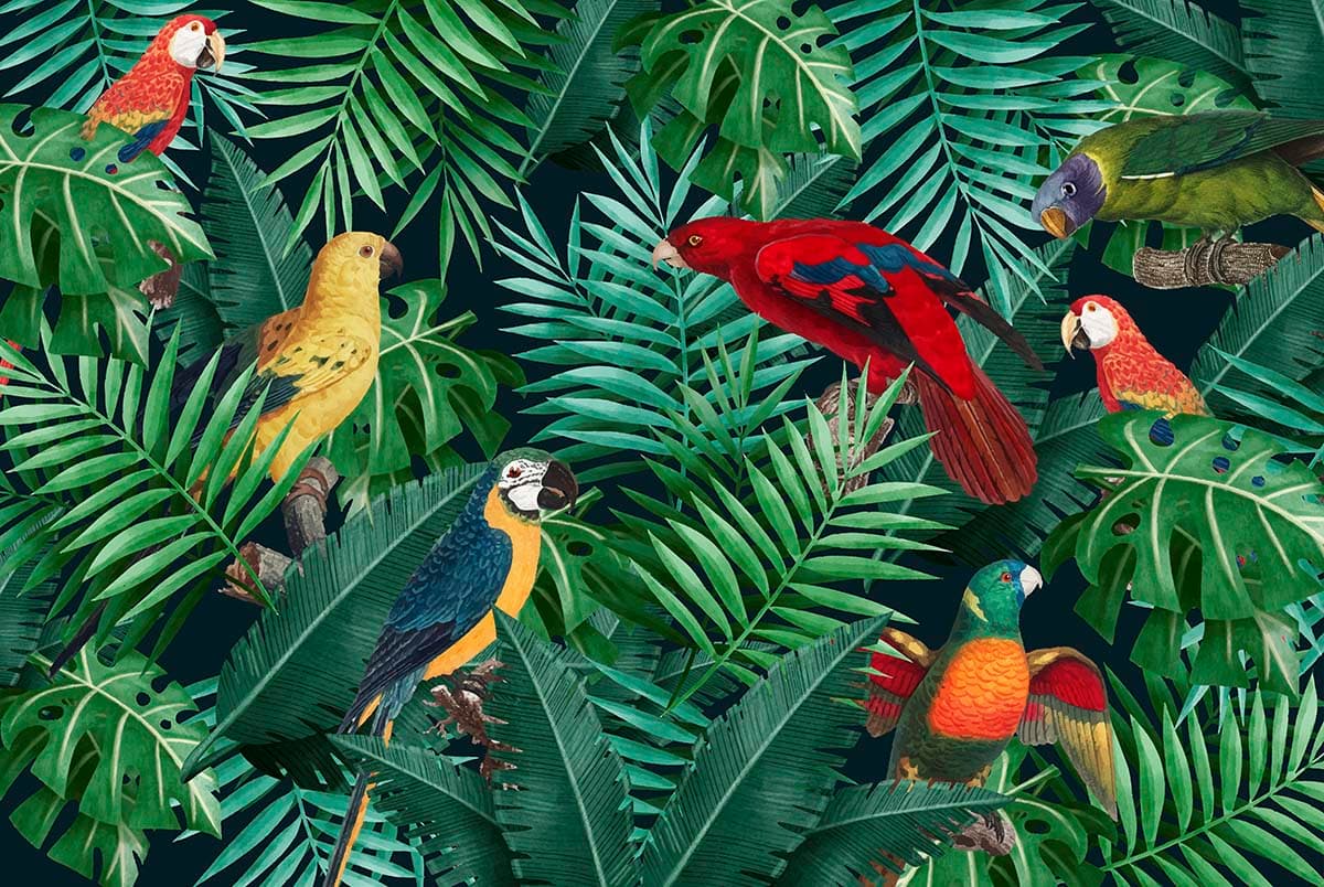 Colorful Parrots and Tropical Leaves Design wallpaper pattern detail