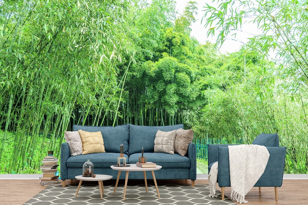 Bamboo Wallpaper for Walls, Green Forest Bamboo shown in a room