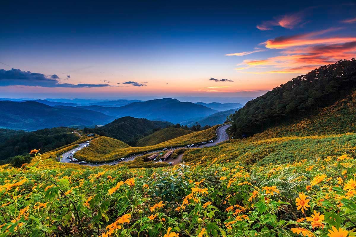 Vadiyan, Beautiful Flowers and Mountains Scenery Wallpaper pattern detail