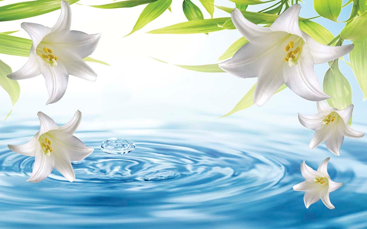 The Fresh Calming Lily Wallpaper for Wall pattern detail