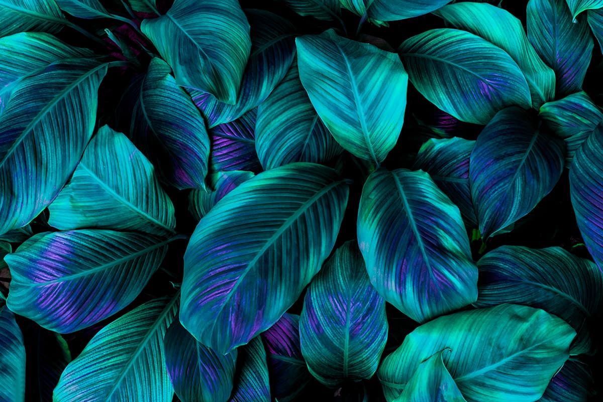 A group of blue and green leaves pattern detail