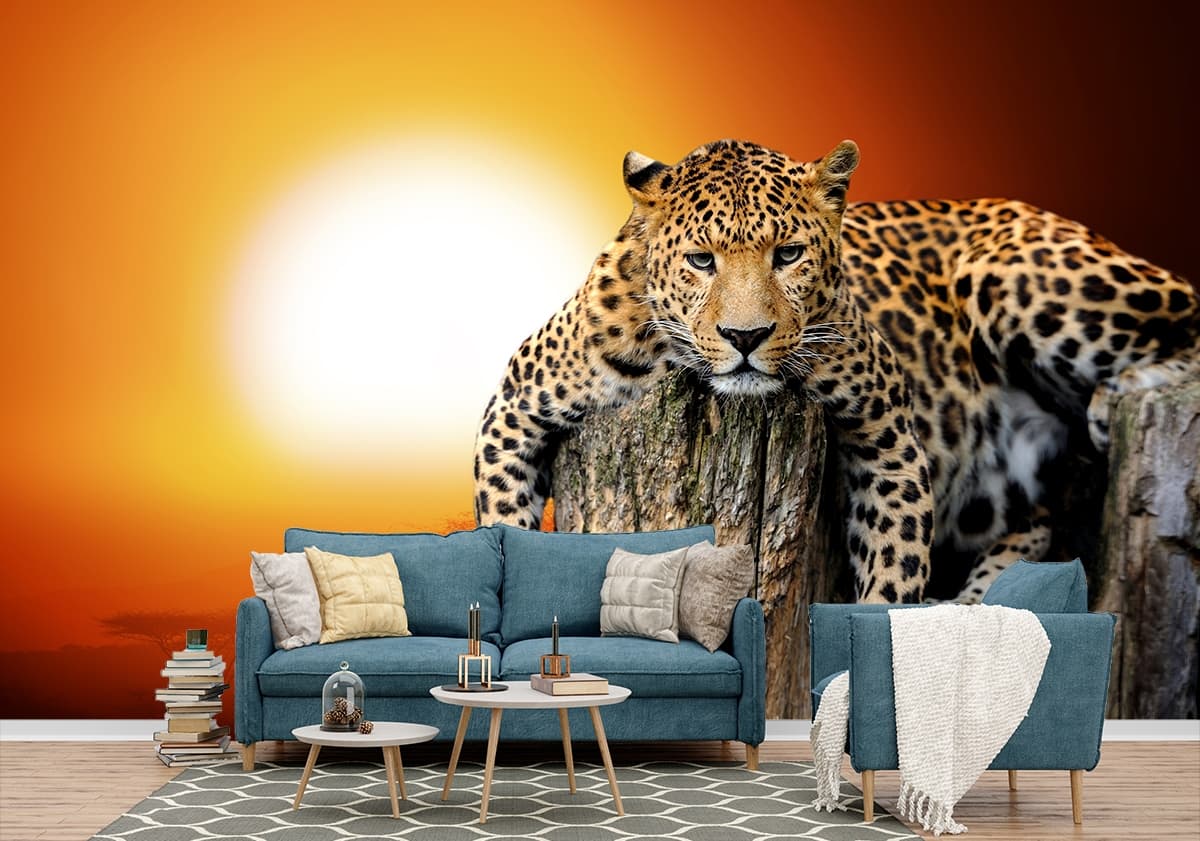 Wild Leopard Resting on Tree Stump wallpaper shown in a room