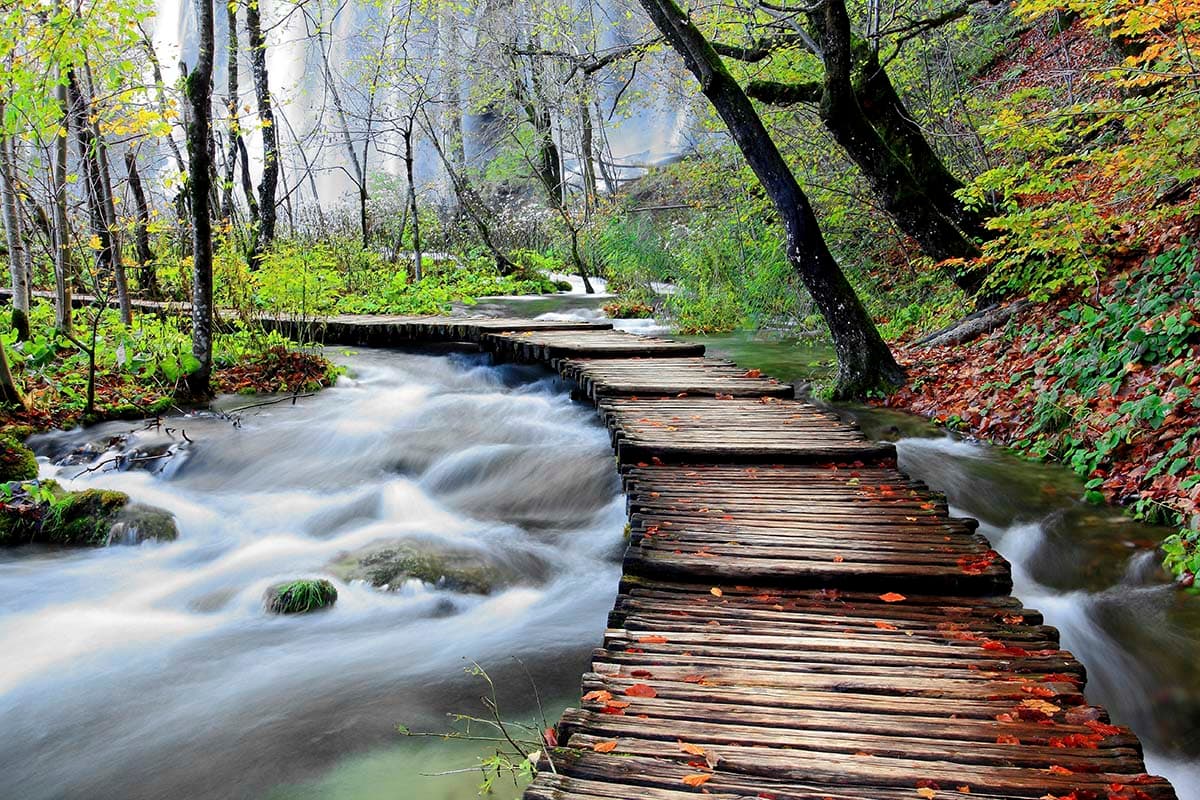 Rustic walkway over flowing river in nature wallpaper pattern detail