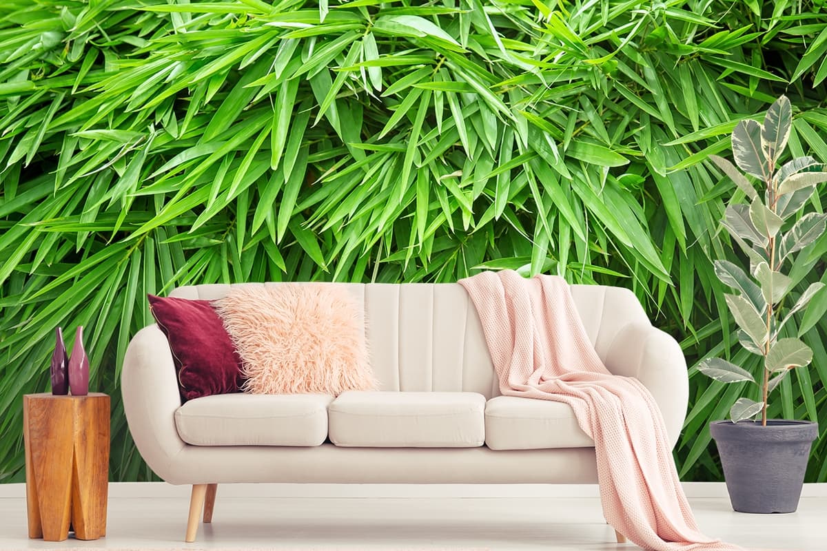Close-Up Green Plant Leaves Aesthetic Nature Wallpaper shown in a room