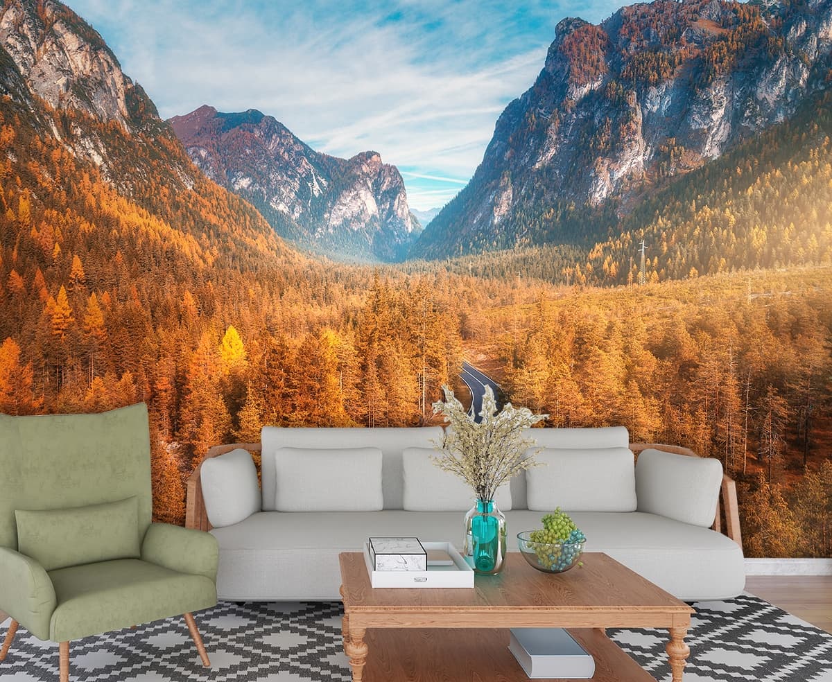A road through a forest shown in a room