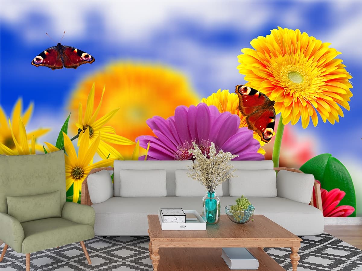 Vibrant Transvaal Daisies and Butterflies Floral Wallpaper Mural shown in a room