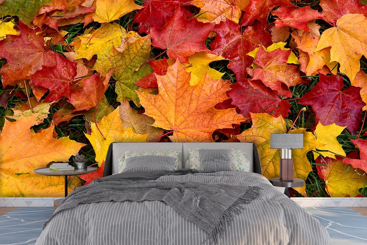 Colorful Autumn Maple Leaves Wallpaper shown in a room