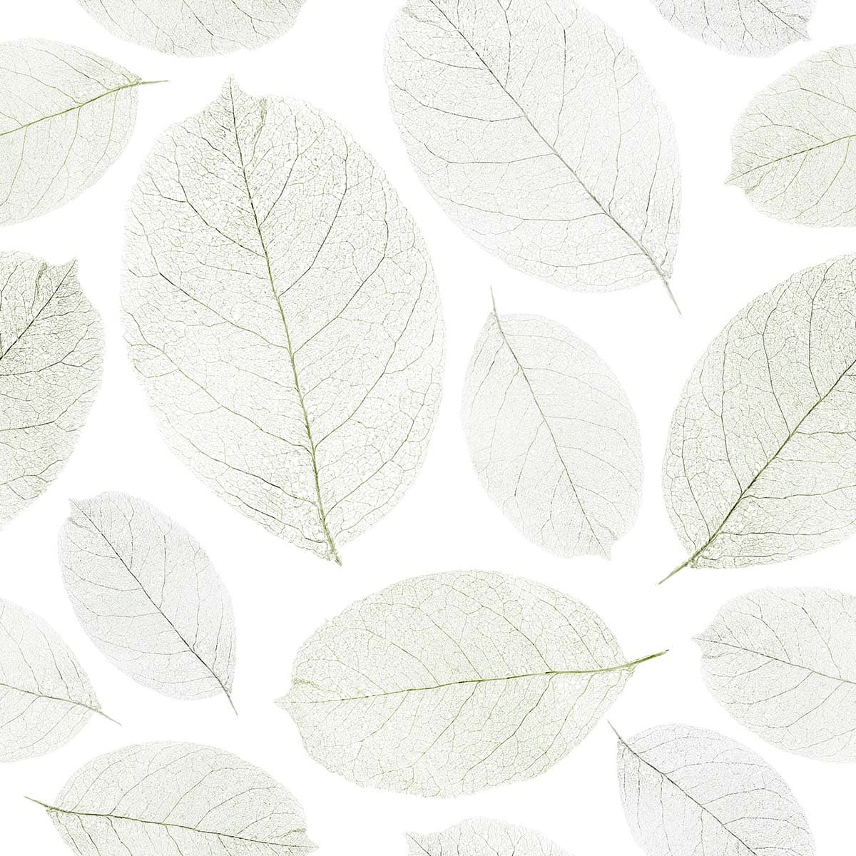 A group of white leaves pattern detail