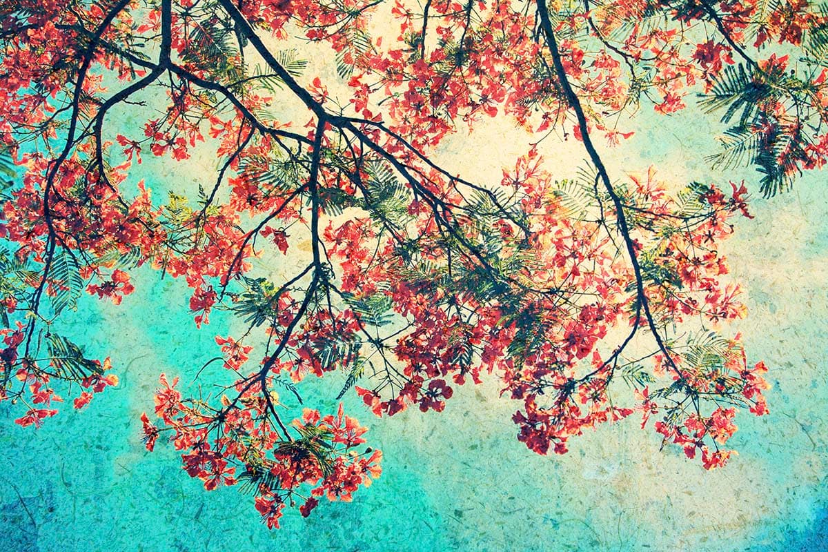 A tree with red flowers pattern detail
