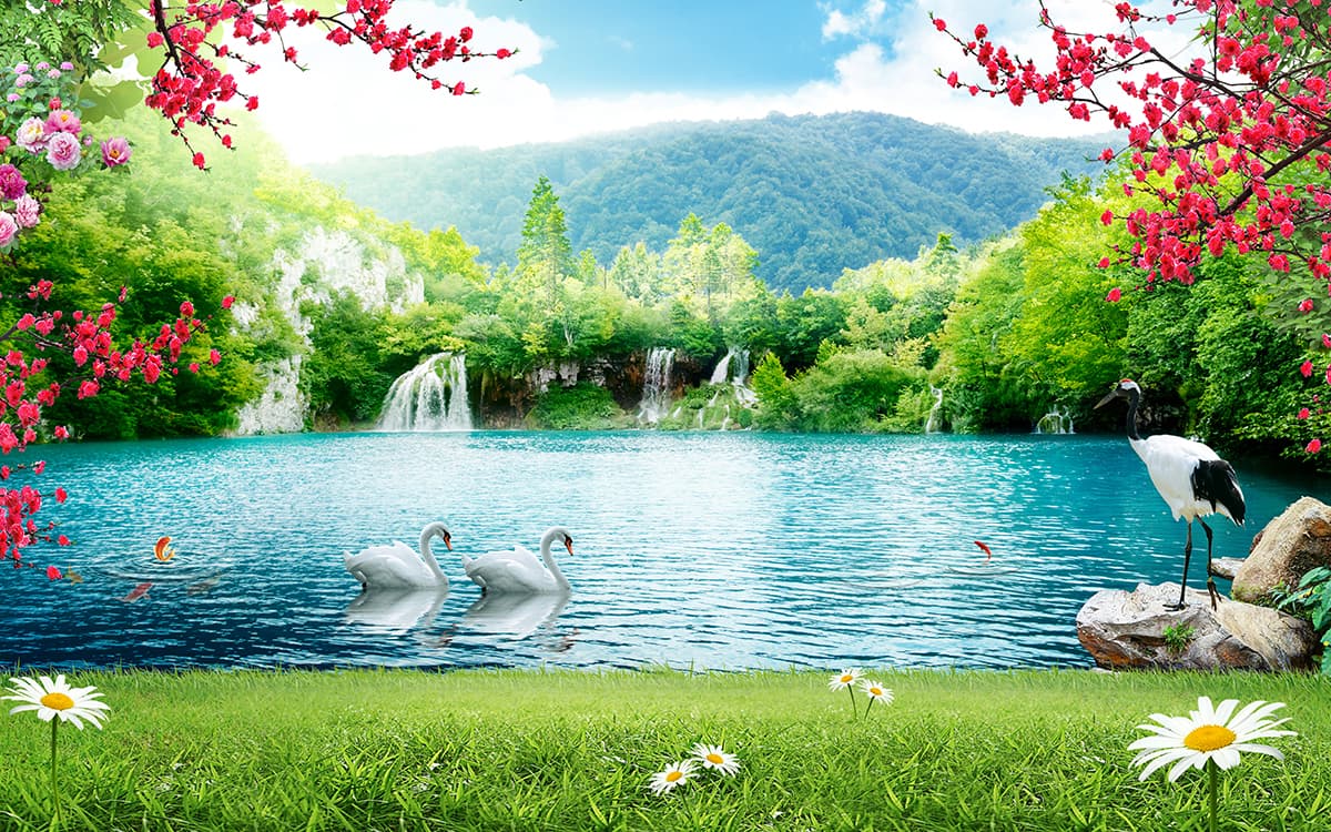Elegant swans swimming on serene lake surface wallpaper pattern detail