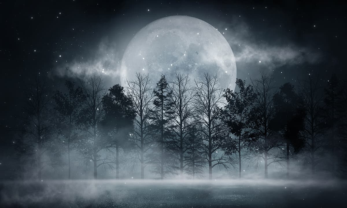Ethereal Full Moon Night Wall Mural pattern detail
