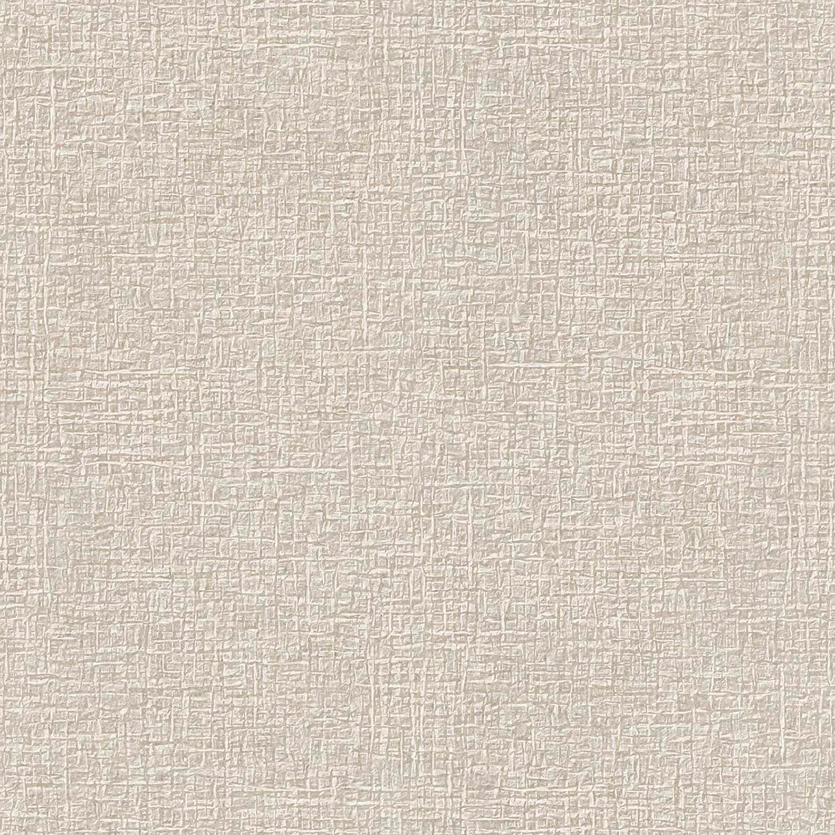 Minimal Monochrome Textured Surface Wallpaper pattern detail