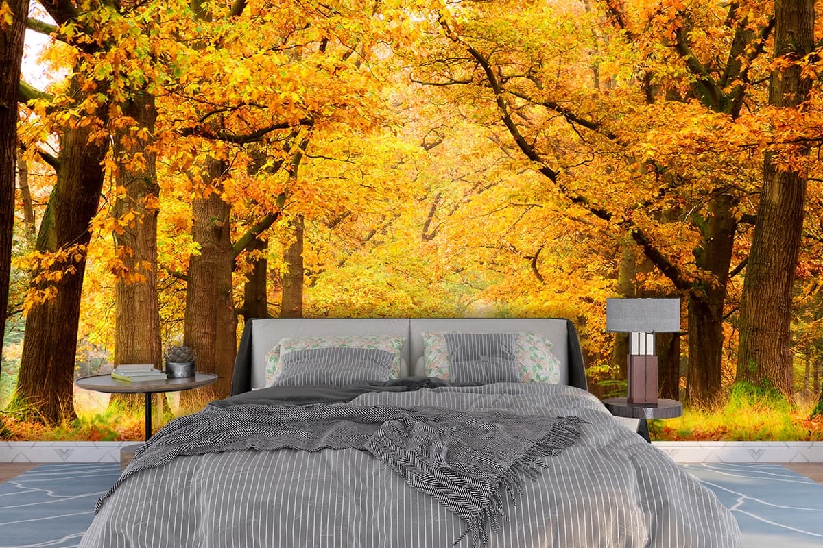 Autumn Forest Path with Orange Leaves Wallpaper shown in a room