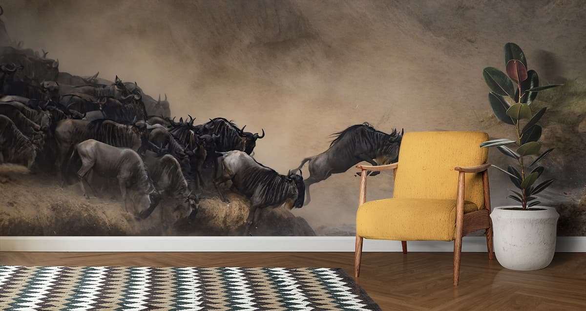 Dynamic Wildebeest Herd Jumping into Water Wallpaper Mural shown in a room