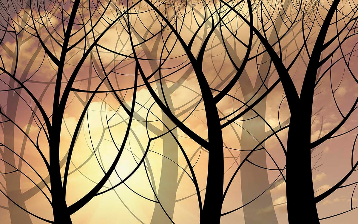 Sunset Silhouette Trees Warm Nature Background Wallpaper pattern detail