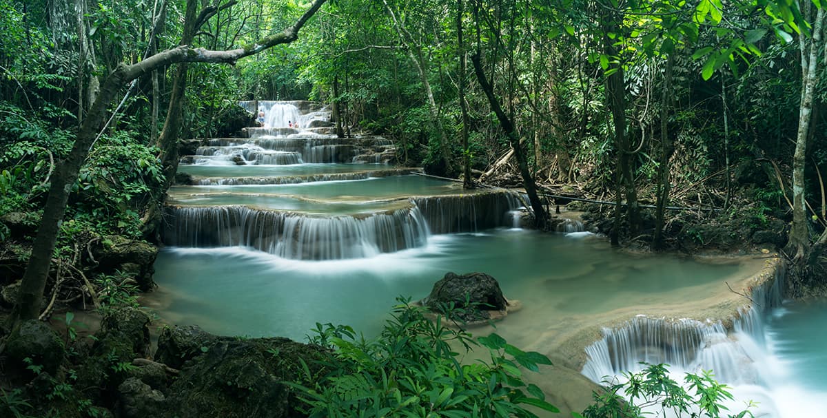 Serene Waterfall and River in Forest Wallpaper pattern detail